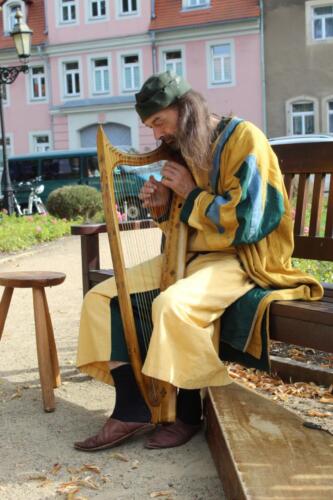 IMG_6580 (Groß)